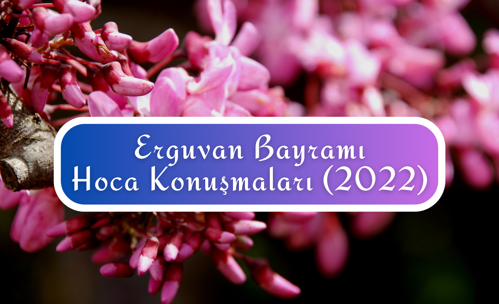 Erguvan Bayramı Hoca Konuşmaları (2022)